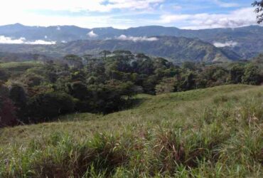 SE VENDE FINCA EN SANTA CECILIA