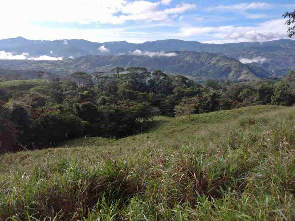 SE VENDE FINCA EN SANTA CECILIA