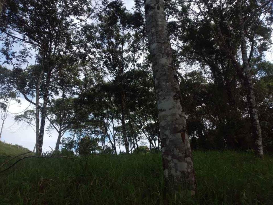 SE VENDE FINCA EN SANTA CECILIA