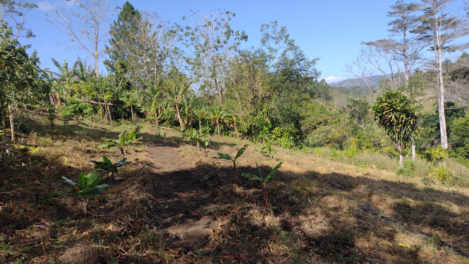 SE VENDE LOTE EN MATASANOS – SABALITO, COTO BRUS